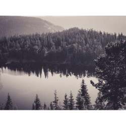 Synergistic Wool Bench fr-FR